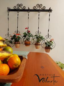 a wooden table with potted plants on a wall at Volarte Hostal in Jardin