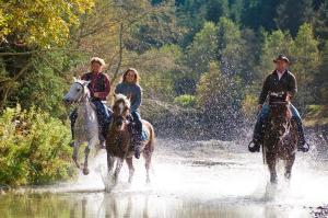 a group of people riding horses through the water at Zauchtaler Hof in Altenmarkt im Pongau
