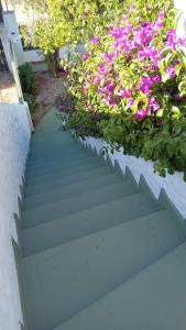 a set of stairs with a bunch of flowers at Departamento para 4 personas San Clemente in San Clemente del Tuyú