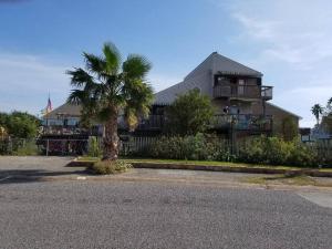 a house with a palm tree in front of it at The Seahorse Apt - Lakeside and Close to the Beach in Galveston