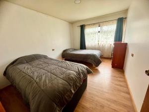 um quarto com 2 camas e uma janela em Cabañas Antü 2 em Coihaique