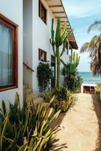 een huis met cactussen en planten ervoor bij Marmot Seashore Moonset Suite in Máncora