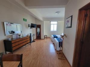 TV a/nebo společenská místnost v ubytování HOTEL TRUEBA + 26 fotografií