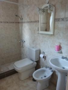 a bathroom with a toilet and a sink at LUPITA CENTRO 1 in General Roca