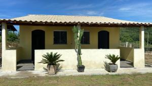 una casa con due palme di fronte di loft 2 sitio do barrigudinho a Saquarema