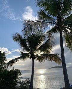 two palm trees on a beach near the ocean at El Balcón de Luly in Culebra