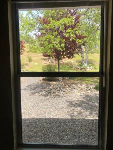 a window with a view of a park through it at Oak Retreat by Yosemite National Park in Coarsegold