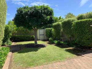 a tree in the middle of a garden at Goodwood 3BR Close to City! in Wayville