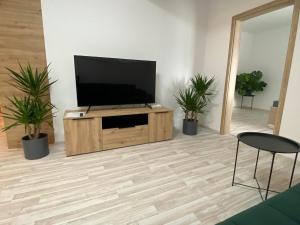 Apartmány Hodonín的电视和/或娱乐中心