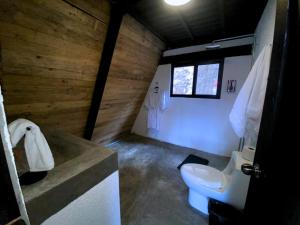 a bathroom with a toilet and a sink at Vive Libre Travel Club in Santiago