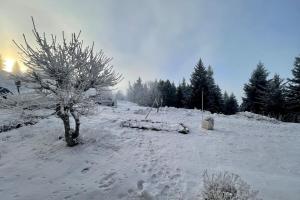 The Edelweiss- Renovated studio for 4 people! v zime