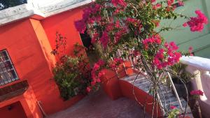 een balkon met roze bloemen aan de zijkant van een gebouw bij La hermosa hotel in Santa Cruz de Barahona