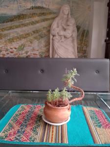 a potted plant sitting on a table next to a statue at Hostal S.Pacha in Sucre