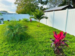 NEW Renovated luxury home with private heated pool, game room Near Anna Maria Island and IMG外面的花园