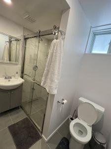 a bathroom with a shower and a toilet and a sink at Bertha's charming urban retreat in Laval +12 photos