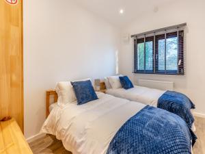 a bedroom with two beds and a window at Kestrel Lodge in Little Witley