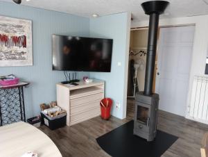 ein Wohnzimmer mit einem Kamin und einem Flachbild-TV in der Unterkunft Les Aigus in Saint-Pierre