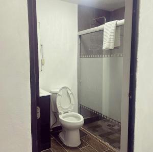 La salle de bains est pourvue d'une douche et de toilettes blanches. dans l'établissement Lovely and warming 3 bed, à Morelia