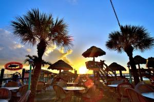 un restaurante con mesas, sillas y palmeras en The Conch House Marina Resort, en St. Augustine