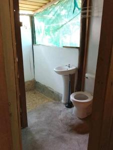 ein Bad mit einem WC und einem Waschbecken in der Unterkunft Cabinas casa Jungla in Drake