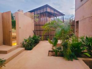 a building with a bunch of plants in a courtyard at Casa Naya in Puerto Escondido +6 photos