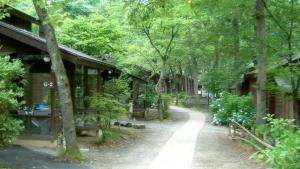 un sentiero in una foresta con alberi e un edificio di Tabino Camping Base Akiu Tree House - Vacation STAY 23970v a Yumoto
