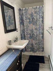 een badkamer met een wastafel en een douchegordijn bij Sweet Campbell Home Anchorage Alaska in Anchorage