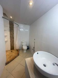 a bathroom with a shower and a sink and a toilet at Vista Boquete Apartments in Bajo Boquete