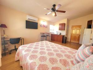 a bedroom with a bed and a ceiling fan at Comfy studio in Sarasota in Sarasota