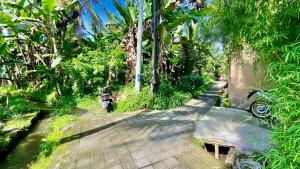 un chemin à travers une forêt de palmiers dans l'établissement Villa magica 2, à Ubud