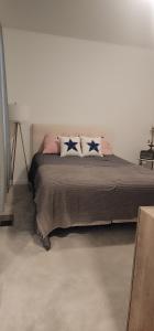 a bedroom with a bed with two blue pillows at Cozy, Quiet Shared Room & Home in Watkins