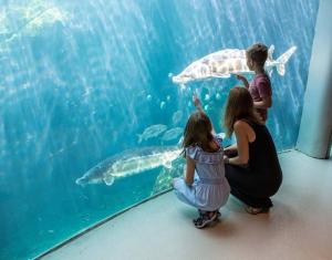 deux femmes et deux enfants qui regardent le poisson dans un aquarium dans l'établissement Charm & Luxury Vacation Headquarters to Downtown!, à Montréal