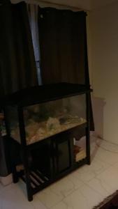 a fish tank sitting on top of a floor at PINEVALLEY APT.SUITE 3A 