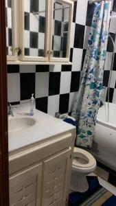 a bathroom with a sink and a toilet at PINEVALLEY APT.SUITE 3A 