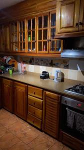 a kitchen with wooden cabinets and a stove at PINEVALLEY APT.SUITE 3A 