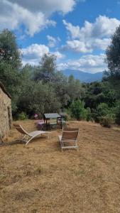 una mesa de picnic y dos sillas en un campo en Langhjuledda en Grosseto-Prugna