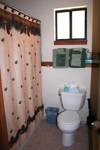 a bathroom with a toilet and a shower curtain at Timber Creek Chalets- 4 chalet in Estes Park