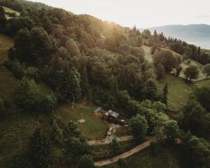 an aerial view of a house in the middle of a forest at Togethernest Glamping in Mătişeşti