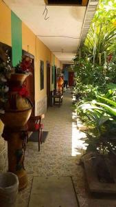 a hallway with potted plants in a building at Hotel Economica in Coxen Hole
