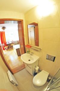 a bathroom with a sink and a toilet and a mirror at Pokoje Na Skalicy in Ustroń +27 photos