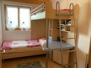 een kleine slaapkamer met een stapelbed en een ladder bij Chalet Lalula in Rosswald
