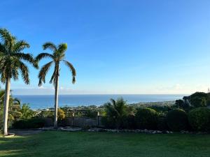 uitzicht op de oceaan vanuit een park met palmbomen bij Sunshine Lodge: Your home away from home in Montego Bay