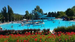 a group of people in a large swimming pool at VIDI HOME in Vidiciatico