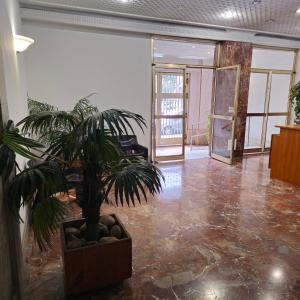 ein Zimmer mit einer Topfpflanze auf dem Boden in der Unterkunft Palermo Politeama rooms in Palermo
