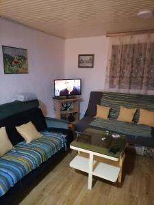 a living room with a couch and a tv at Kućica za odmor-Borova glava in Zlatibor