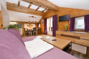 Televiisor ja/või meelelahutuskeskus majutusasutuses Chalet Claudia