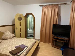 a bedroom with a bed and a tv and a mirror at Nautilus in Uzhhorod