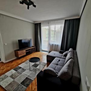 a living room with a couch and a tv at Campia Turzii central apartment in Câmpia Turzii +3 photos