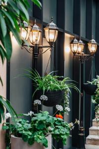 Zahrada ubytování Tbilisi Laerton Hotel