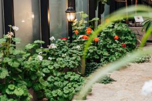 Zahrada ubytování Tbilisi Laerton Hotel